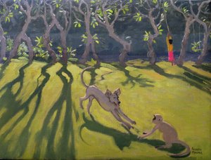 犬と猿、スリランカ、1998